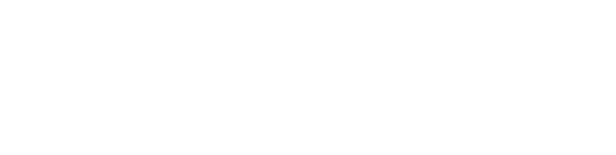 Verona Products Professional